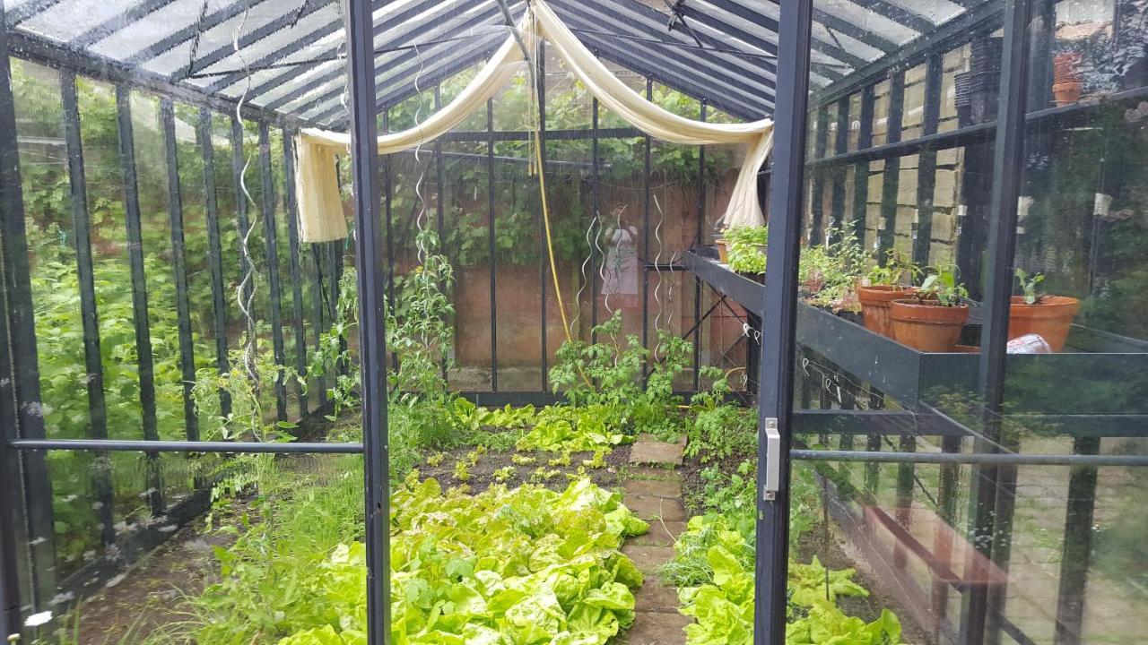 B&B Eenvoud In Overvloed Vleteren Экстерьер фото